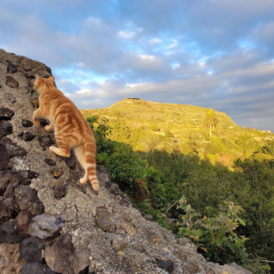 Finca El Lance El Tanque Luaran gambar